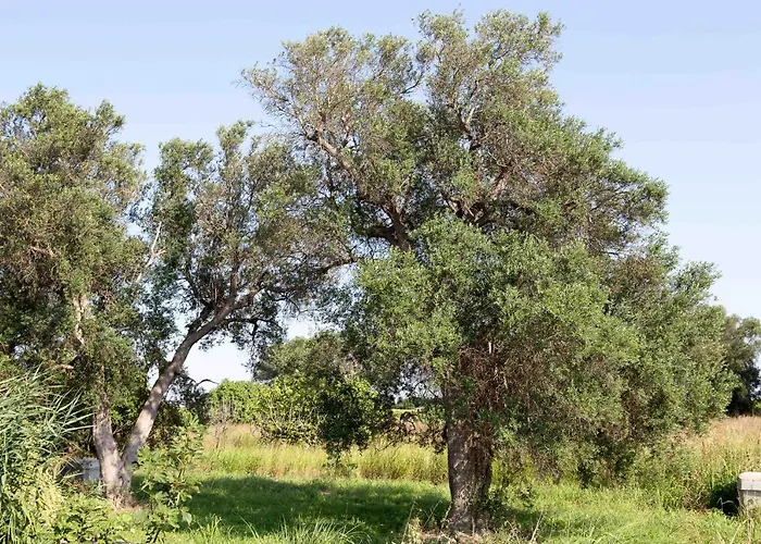 Bed & Breakfast Iori Salento